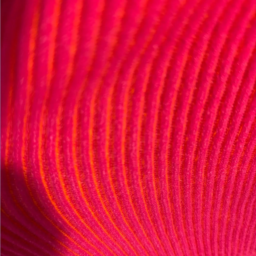J. Crew Ribbed Crop Cardigan Pink Scoop Neck Button Front NWT Small
